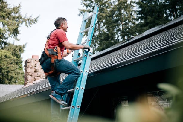 Reliable Menahga, MN  Roofing repair and installation Solutions